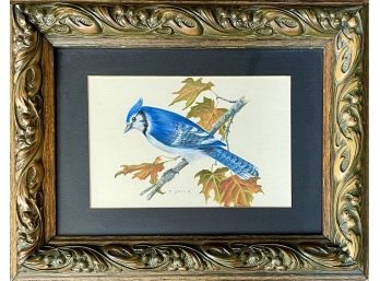 Blue Jay Painting Signed D.Yarne With Wood Carved Frame