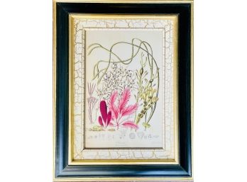 Botanical Print 'Molucana' With Gilded Black Frame