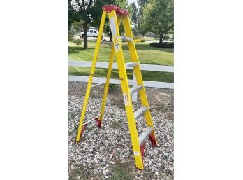 Werner Home Base 6 Feet Non Conductive Ladder