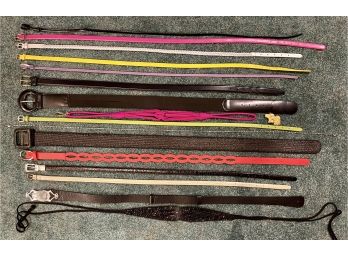 16 Pc. Women's Belts Lot With 2 Brass Dog Head Buckles