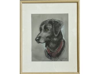 Pencil Drawing Of Black Labrador Dog- Framed & Signed