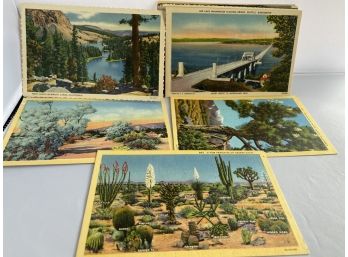 Twenty-Four Mid-century Postcard Collection