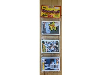 1989 Topps Baseball Trading Cards Pack Three Pack