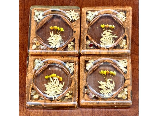 (4) Resin Coastered With Dried Flowers And Seeds