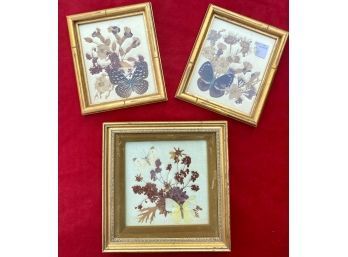 Three Framed Dried Flower And Butterflies In Gold Toned Frames