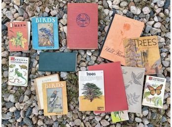 Lot Of Nature Themed Books Including Vintage Womans Day Guide To Wild Flowers