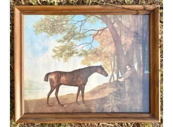 'Shark With His Trainer Price' By George Stubbs, Pilgrim Feeding Horse Eaton-Ease Print In Wooden Frame