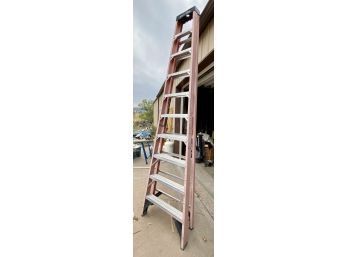 Tall Werner Ladder