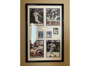 Framed Baseball Card Composite From Colorado Rockies Players With Brass Plate Featuring 'The Lodo Sluggers'