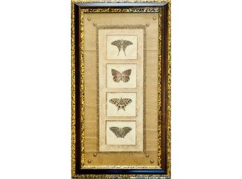 'Butterfly Safari' Framed Print