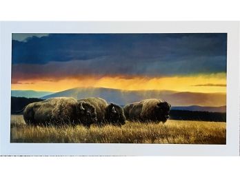 Signed & Numbered 1st Edition Nancy Glazier Serigraph' Western Skies'