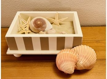 Striped Wood Box With Sand And Shells