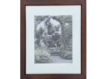 Signed & Numbered Photo Of Cat In Garden
