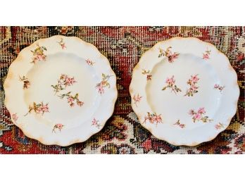 2 Antique English Royal Crown Derby #3691 Dinner Plates