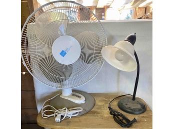 Fan And 24' Lamp