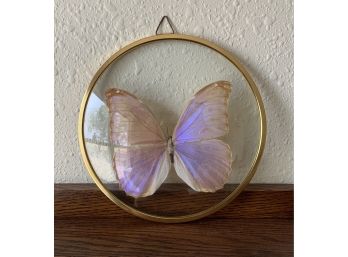 Butterfly Pink Encased In Glass