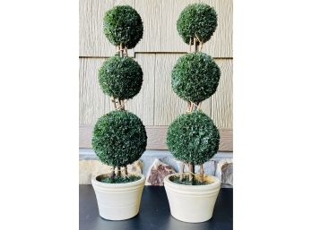 2 Topiary Pots
