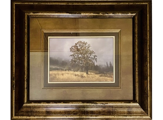 Framed Picture Of Tree In Field With Heavy Frame