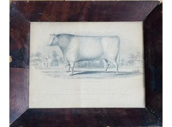 Antique Bull Print