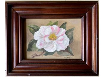 Painting Of Camellia Signed M Herbert (7 By 5)
