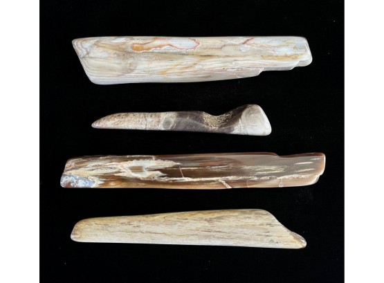 4 Petrified Wood Specimens