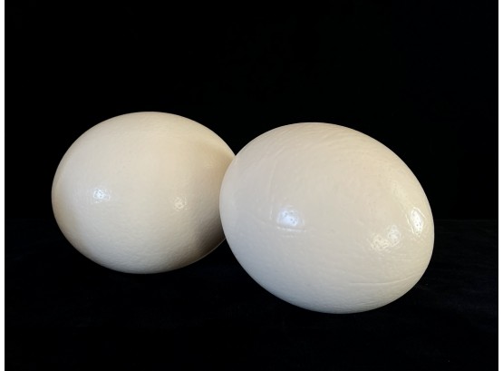 2 Decorative Ostrich Eggs