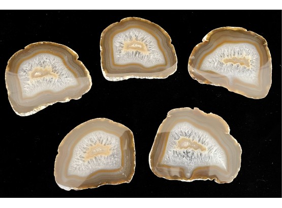 5 Polished Geode Slices- Coasters Brown Colors