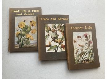 Lot Of Vintage Plant, Trees, And Insect Life By Arabella B. Buckley (3 Books)