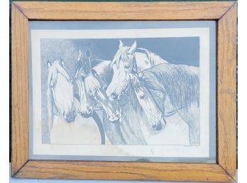 Framed Sketch Of Horses