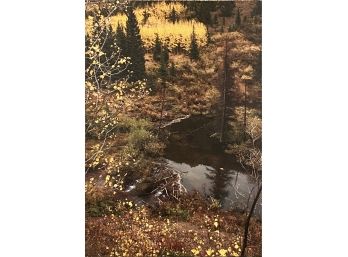 Fall In The Colorado Rockies By Mark Pedersen Canvas Reprint