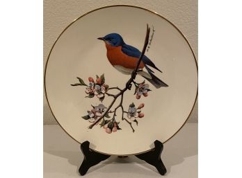 Bluebird North American Songbird Plate