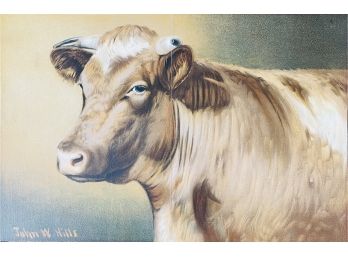 Antique Cow Print On Board-Unframed By John W. Hills