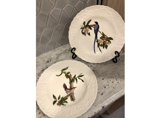 Beautiful Pair Of Birds Of America By Alfred Meakin Dinner Plates
