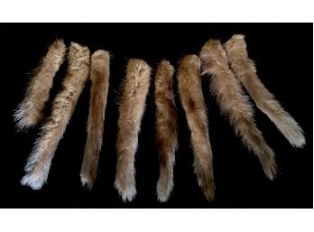 Lot Of 8 Mink Tails