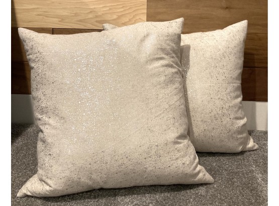 2 Decorative Ivory & Silver  Decorative Pillows