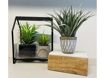 Small Glass Greenhouse Faux Greenery & Box