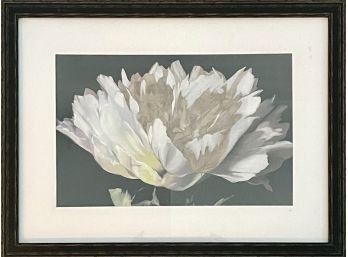 White Flower Picture With Black Frame