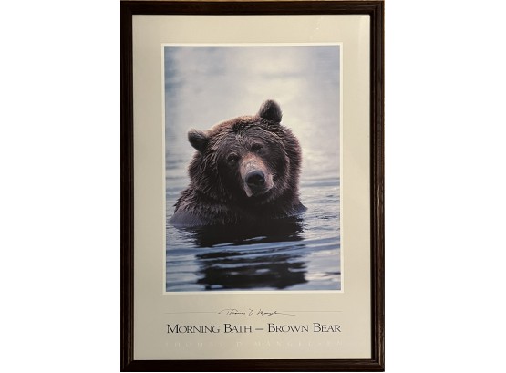 Framed Morning Bath - Brown Bear Thomas D. Mangelsen Photo Print