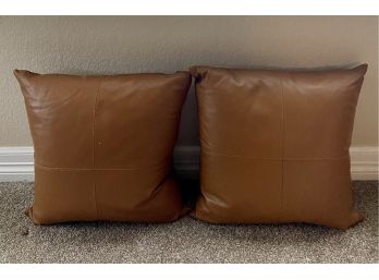 2 Leather Pillows