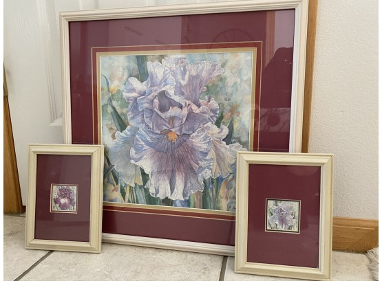 Collection Of Framed Mary Booth Cabot Numbered Prints