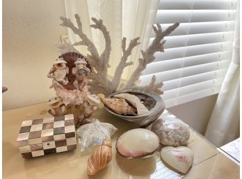 Collection Of Shells And Coral