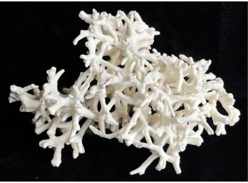 White Sea Coral