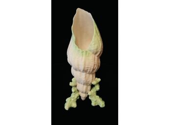 Early 1st Black Mark Belle Coral & Shell Vase With Green Tint