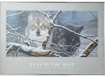 28' X 20.5' Eyes In The Mist National Wildlife Federation Framed