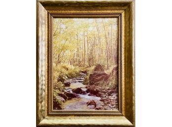 Framed Signed Photograph Mountain Stream