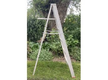 SAF-T-MASTER Household 6ft Ladder
