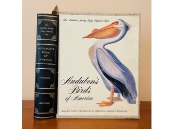 Beautiful Coffee Table Book Audubon's Birds Of America