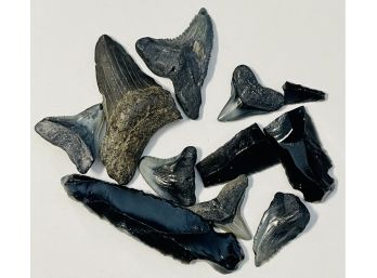 Lot Of Obsidian Pieces With A Fossil Tooth Pieces