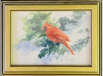 Cardinal Print By Paula Smith