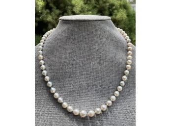 Cultured Graduated Pearl Strand Necklace W 14k White Gold Clasp